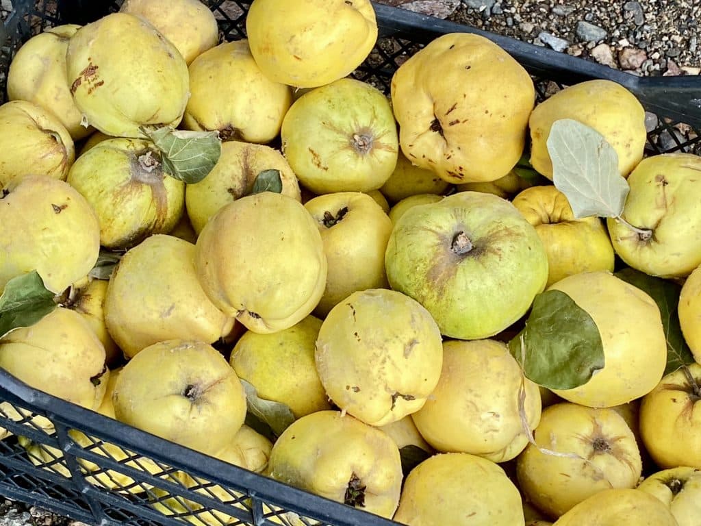 Fruit in a black crate